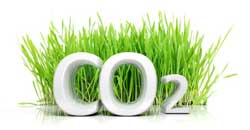  - CO<sub>2</sub>-Extraktion